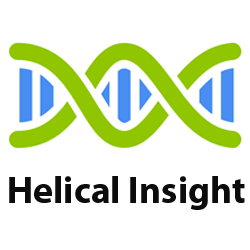 Helical Insight logo